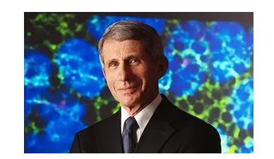 用奶牛产出艾滋病疫苗!